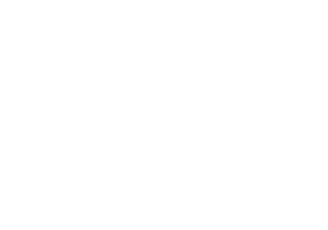 LMDV